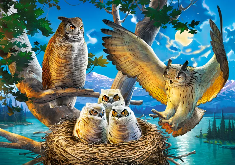 Famille d'Hiboux