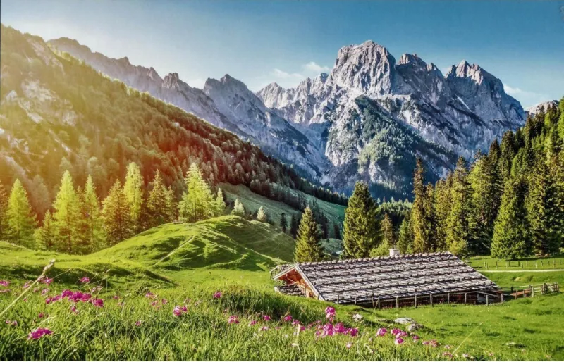 Été dans les Alpes