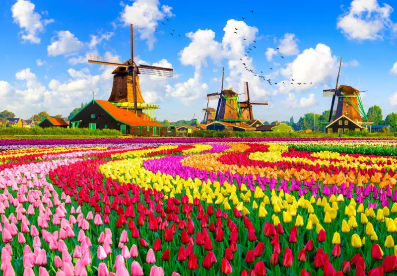 Moulins à Vent Hollandais, Pays-Bas
