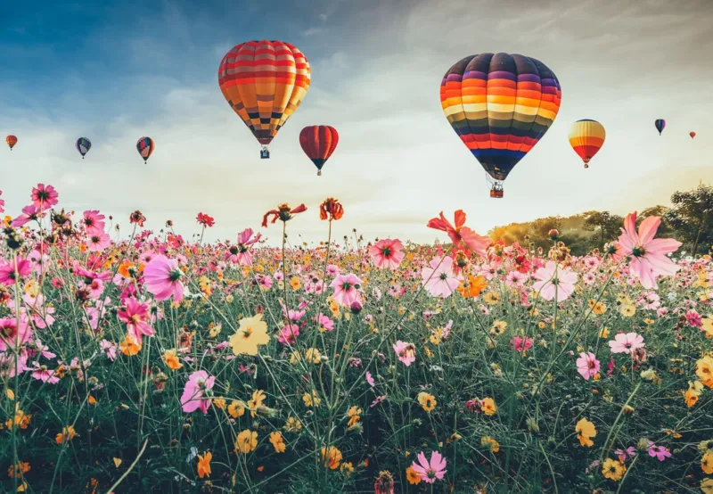 Champ de Montgolfières