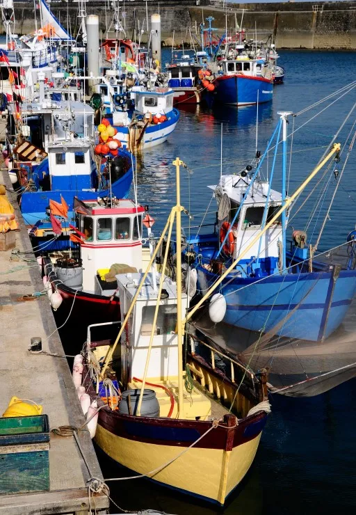 Port de Quiberon, Bretagne