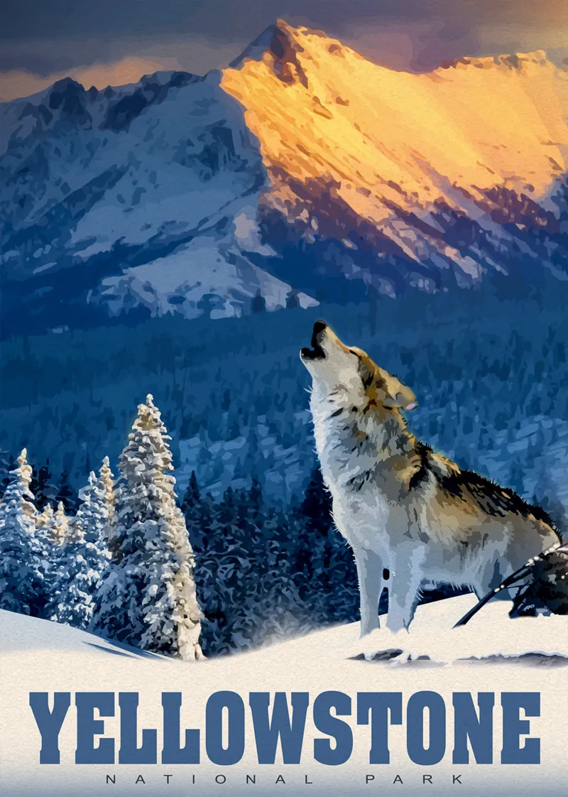 Loup de Yellowstone