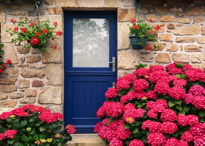 Maison bretonne et fleurs