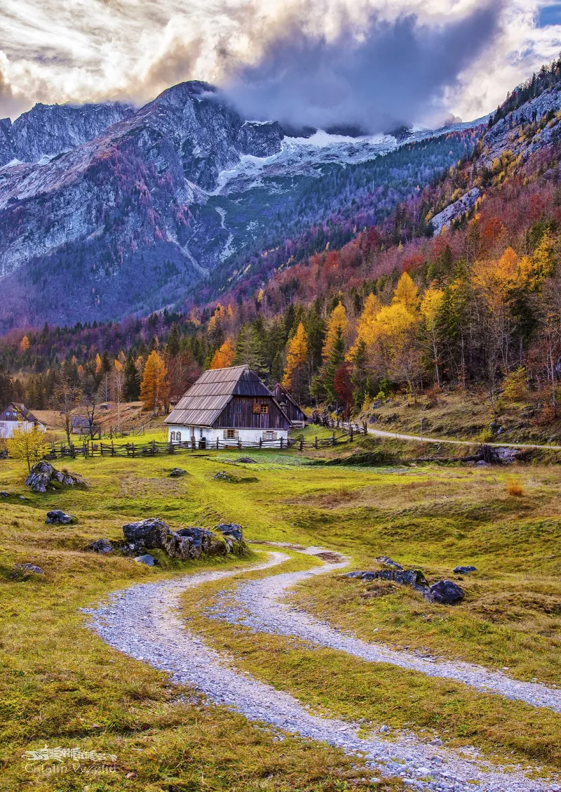Cottage in the Mountains