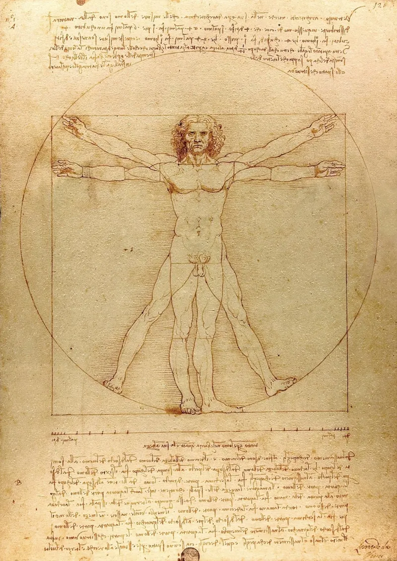 De Vinci - L'Homme de Vitruve