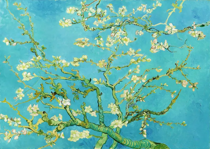 Vincent Van Gogh : Fleur d'amandier