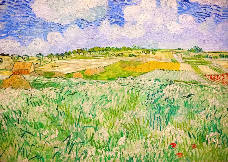 Vincent Van Gogh : Plaine près d'Auvers