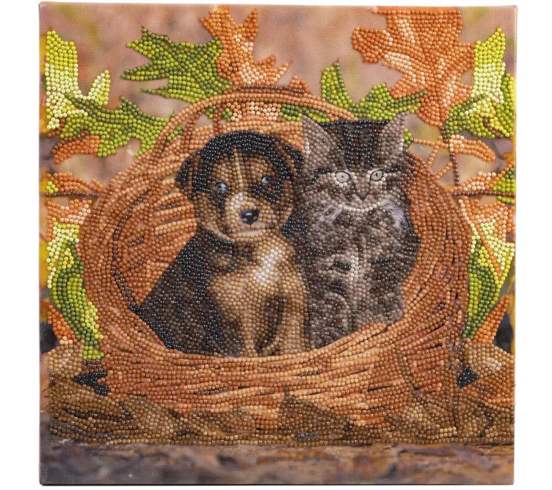 Crystal Art - Kit Broderie Diamant - Chat et Chien
