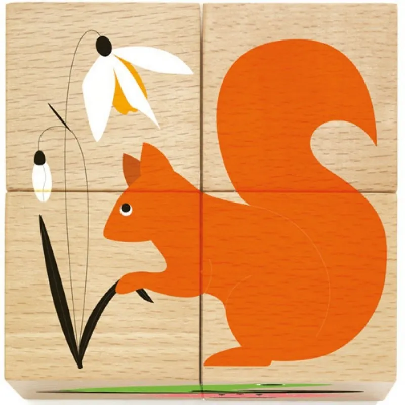 Puzzle Cubes en Bois - Nature & Co