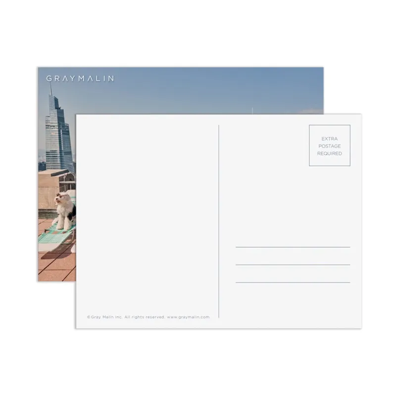 Les Chiens de New York - Puzzle 1000 Pièces