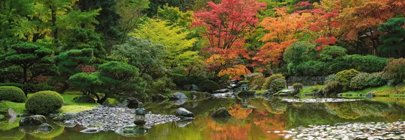 Aaron Reed - Zen Reflection