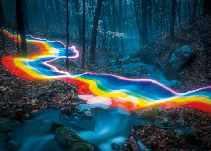 Rainbow Forests