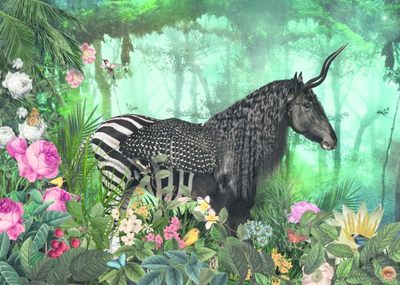 Equpidae