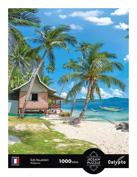 Paysage - Plage Tropicale Palawan - Philippines