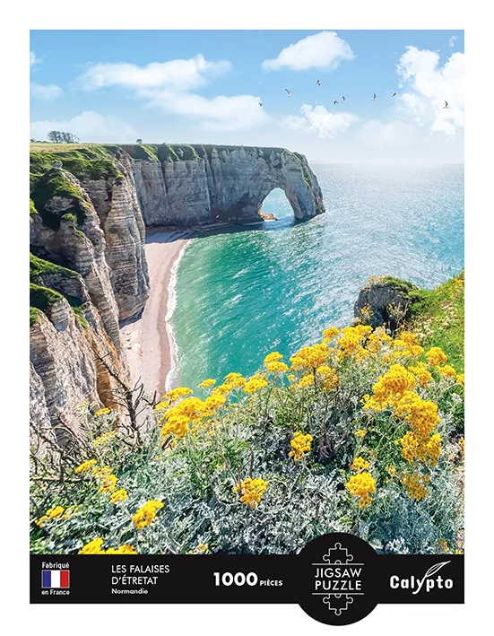 Paysage - Les Falaises D'Etretat - Normandie