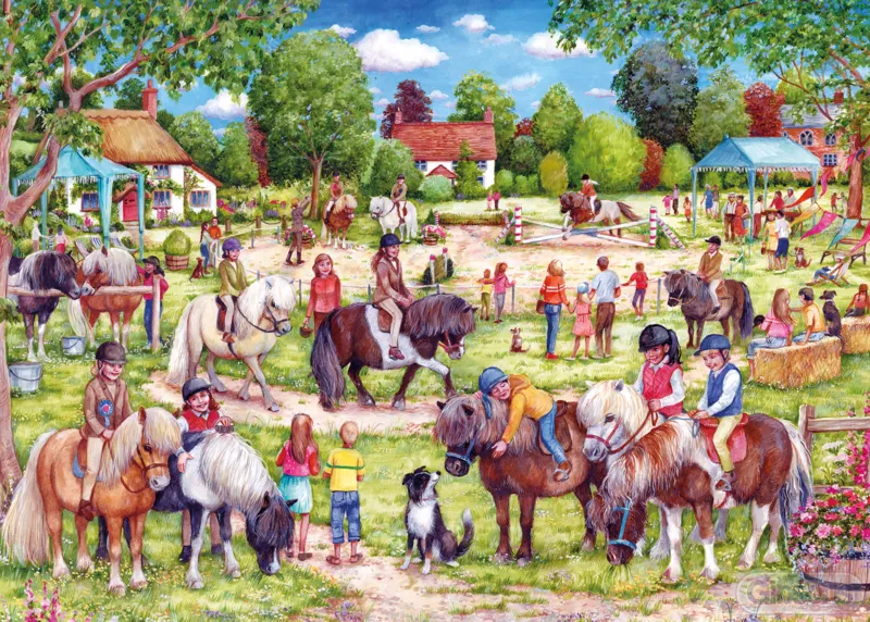 Shetland Pony Club