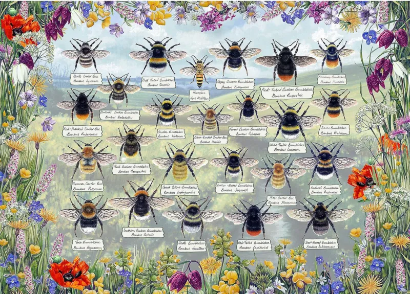 Brilliant Bees