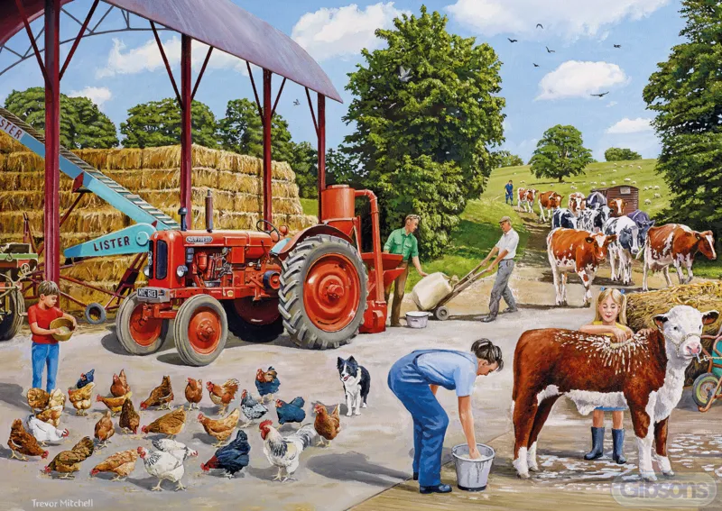 A Busy Farmyard