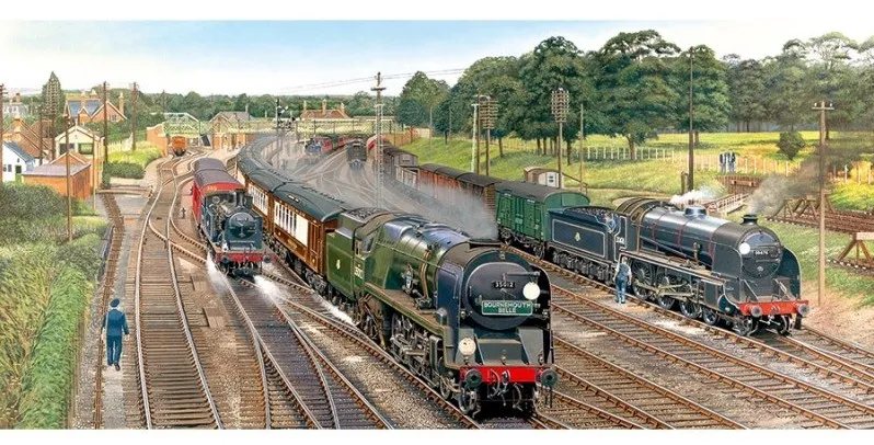 La jonction de New Forest