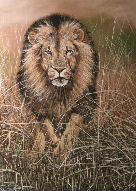 Nico Bulder : Le Lion