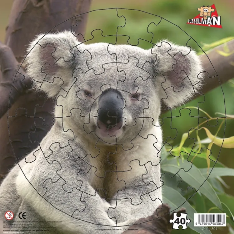 Koala