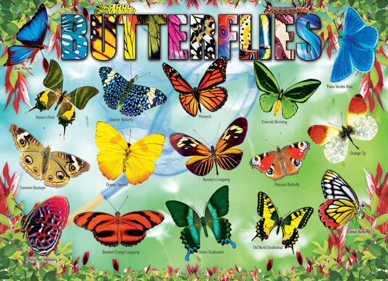 Pièces XXL - Garden Butterflies