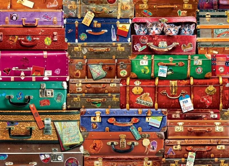 Valises de Voyage