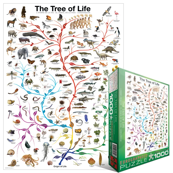 L'évolution - l'arbre de vie
