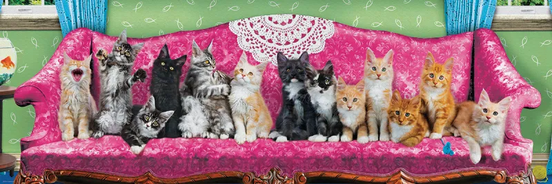 Chatons sur un Fauteuil