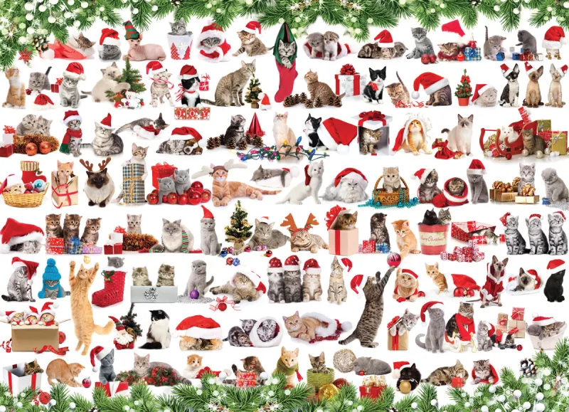 Chats de Noël