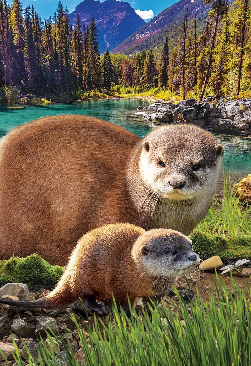 Save the Planet - Otters