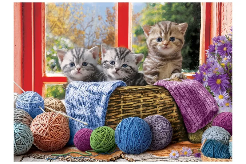 Pièces XXL - Knittin' Kittens