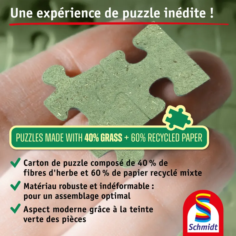 Die Fussballbande, Kampfgeist