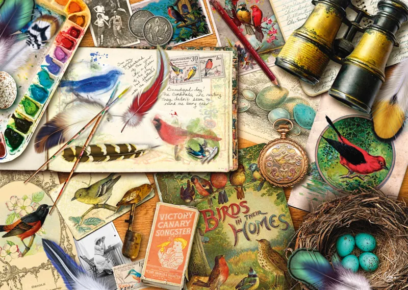 Sur la Table - Observation Des Oiseaux