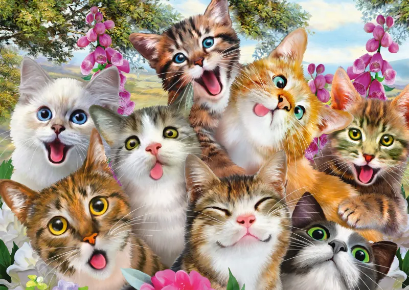 Cats' Selfy