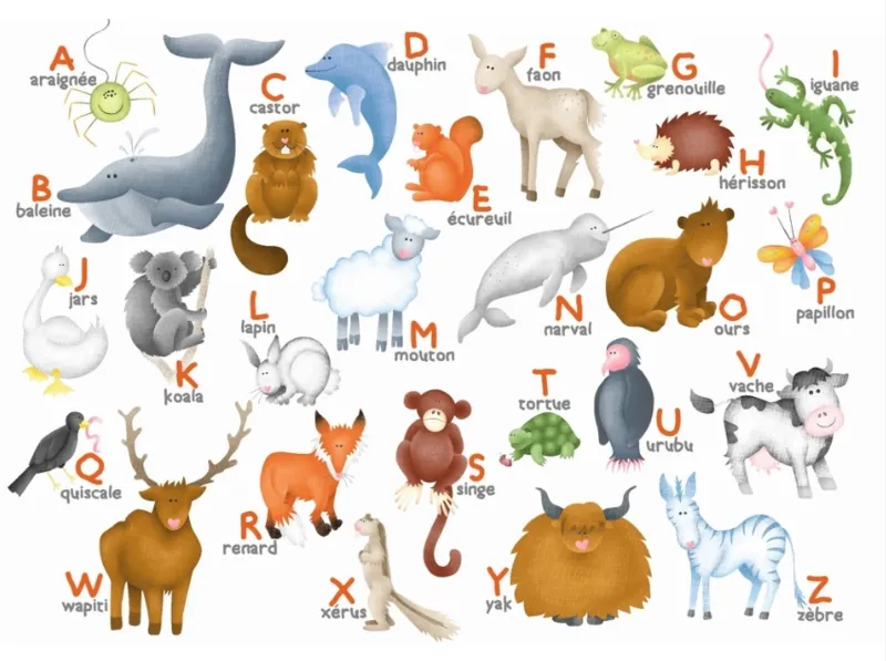 Puzzle en Bois Découpé à la Main - Hannah Weeks : L'Alphabet Des Animaux