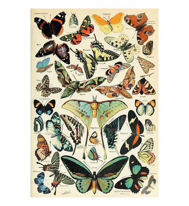 Puzzle en Bois Découpé à la Main - Les Papillons