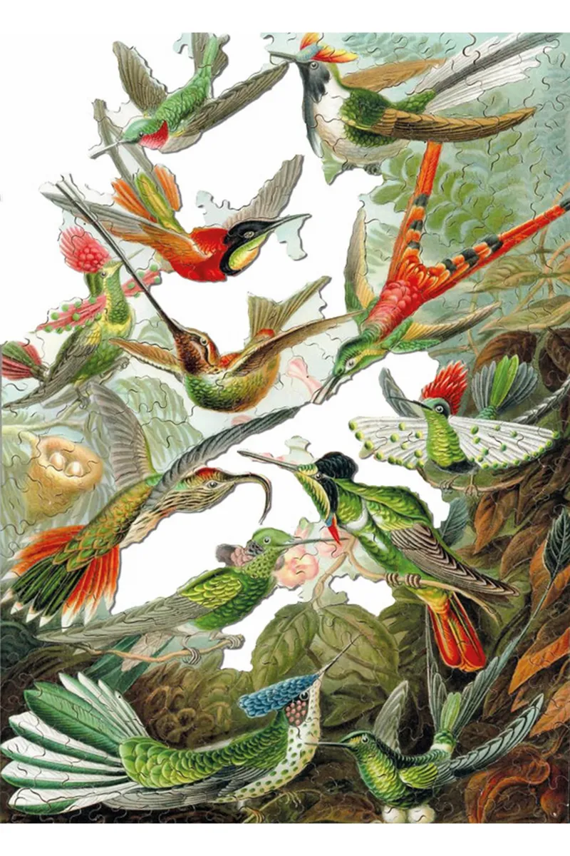 Puzzle en Bois Découpé à la Main - Ernst Haeckel - Les Colibris