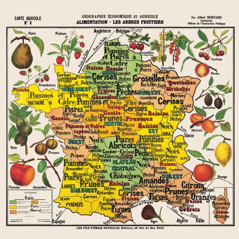 Puzzle en Bois Découpé à la Main - Carte De France Des Fruits