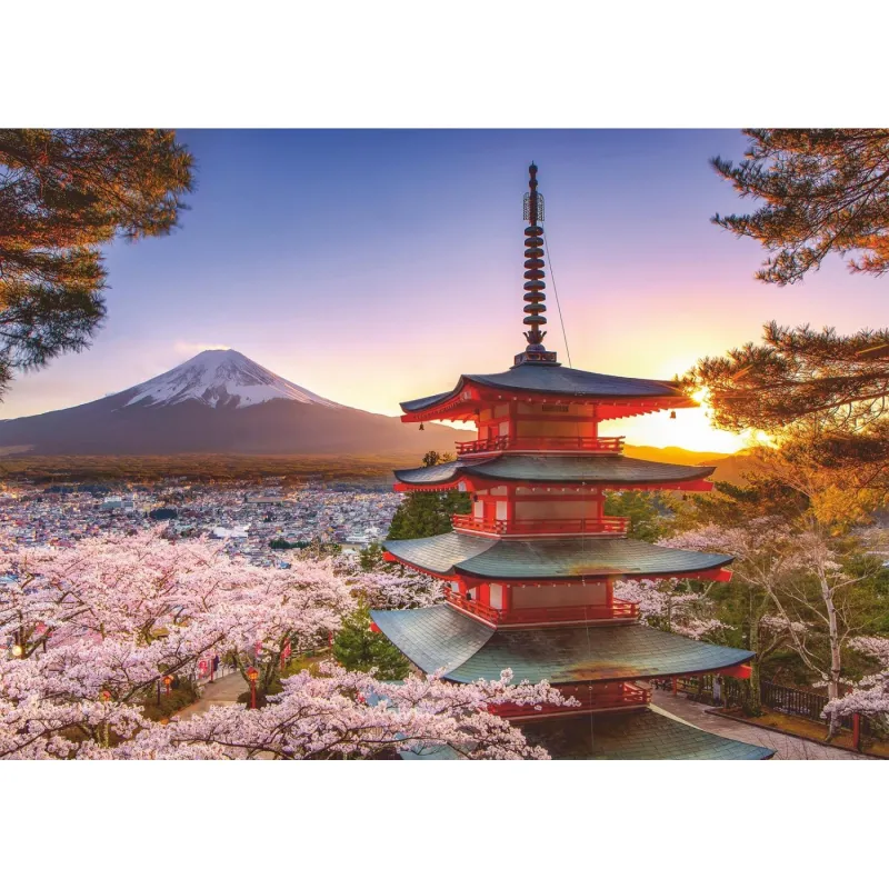 Cerisiers en Fleurs - Japon