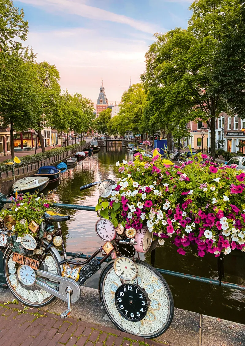 Fleurs À Amsterdam