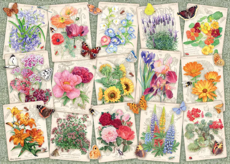 Affiches de Fleurs