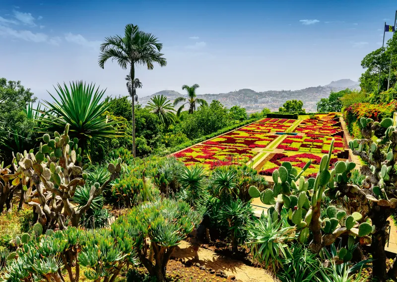 Jardin Botanique, Madère