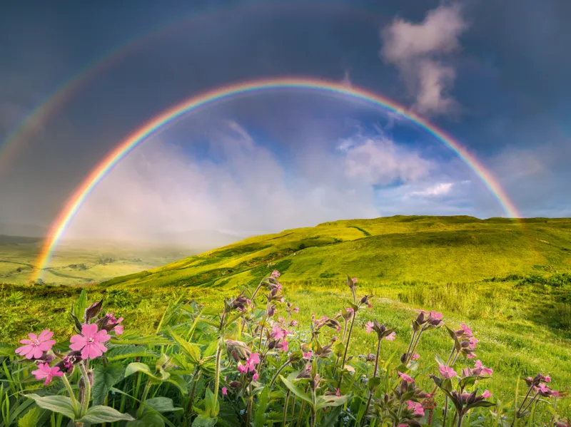 Un Arc-en-Ciel Spectaculaire
