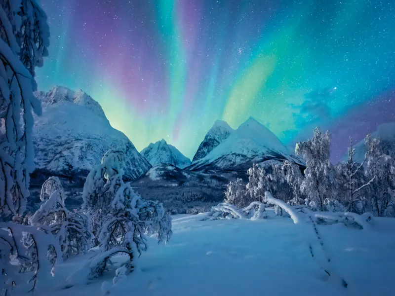 Quand les Aurores Boréales Dansent