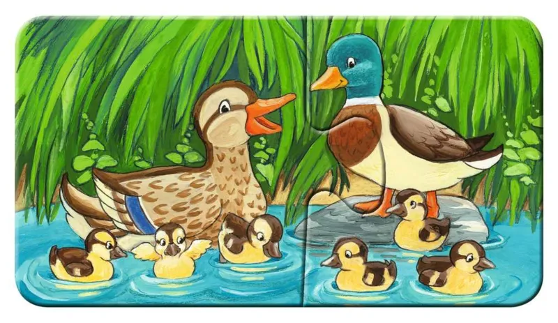 9 Puzzles - Tierfamilien auf dem Bauernhof
