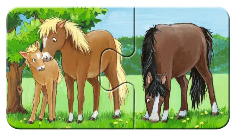 9 Puzzles - Tierfamilien auf dem Bauernhof