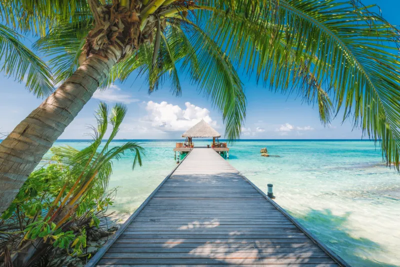 Plage de rêve aux Maldives
