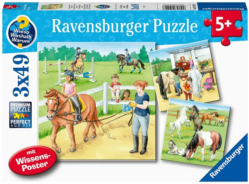 3 Puzzles - Un Jour au Centre Equestre