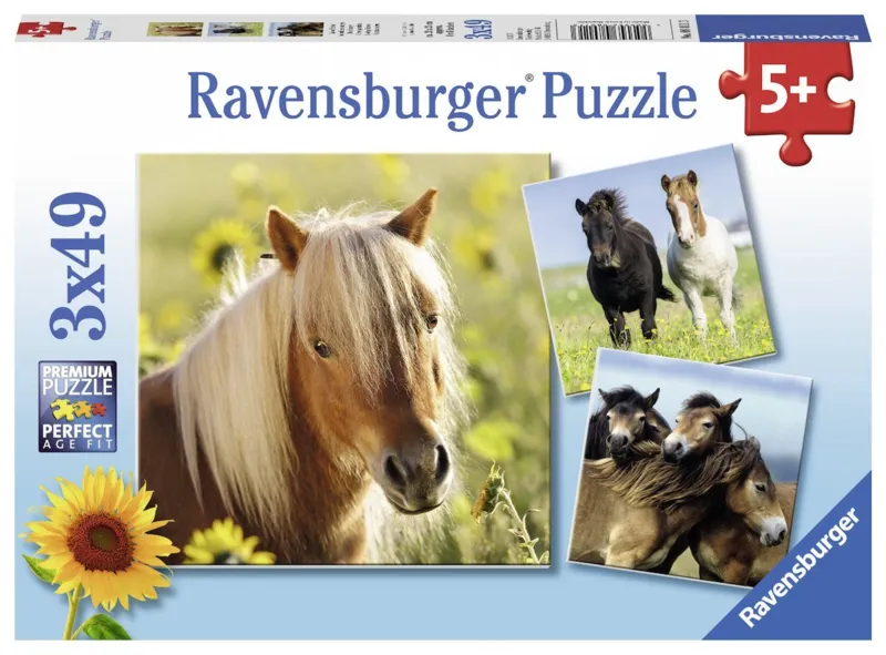 3 Puzzles - Chevaux